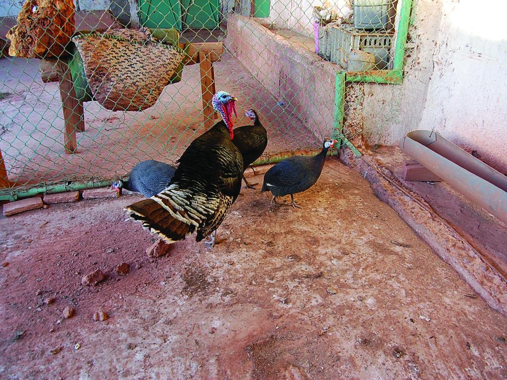 Gite Souss Oulad Teima Ngoại thất bức ảnh