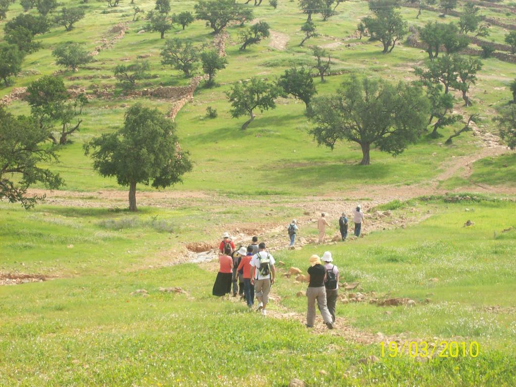 Gite Souss Oulad Teima Ngoại thất bức ảnh